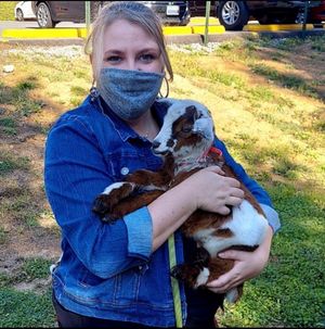 WVU Tech's Laura Messer holds a baby goat for a photo.
