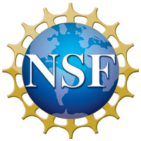 The NSF logo.