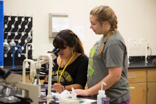 Campers use a microscope during a WVU Tech summer camp program