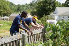 two students removing damaged fence